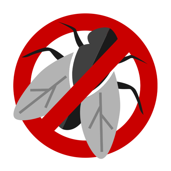 Mouches et moucherons