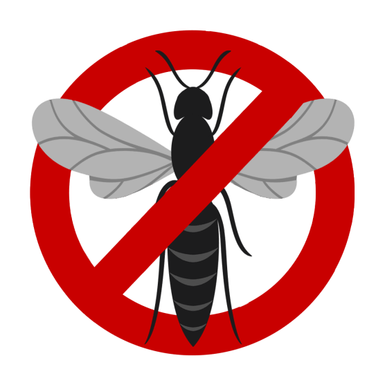 Guêpes, abeilles et frelons