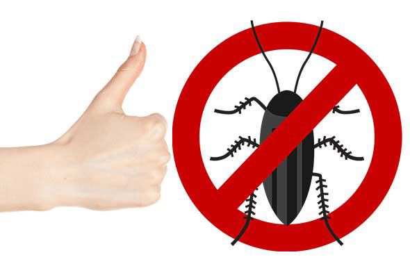 Nous éliminons les cafards