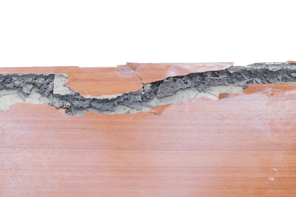 Attention aux Termites !