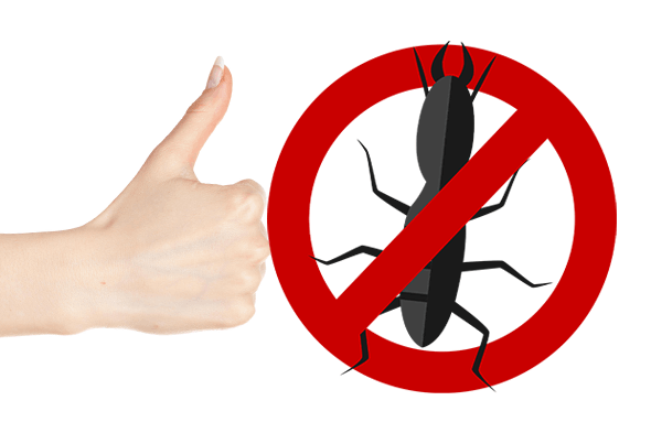 Nous éliminons les Termites